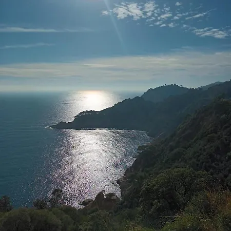 Thegoldsand Cala Salions Tossa De Mar Apartment Gerona