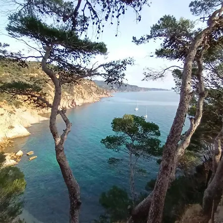 Appartamento Thegoldsand Cala Salions Tossa De Mar Girona